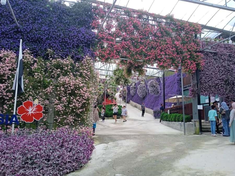 From Kuala Lumpur: Cameron Highlands Private or Join In Tour - Key reasons this Cameron Highlands tour is a smart use of time