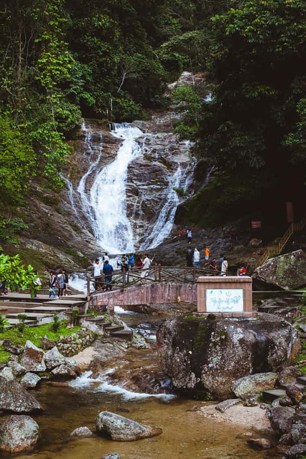 From Kuala Lumpur: Cameron Highlands Private or Join In Tour - Stop-by-stop: what each Highlands stop gives you (and what can feel short)