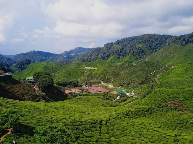 From Kuala Lumpur: Cameron Highlands Private or Join In Tour - What to eat and how to budget for meals