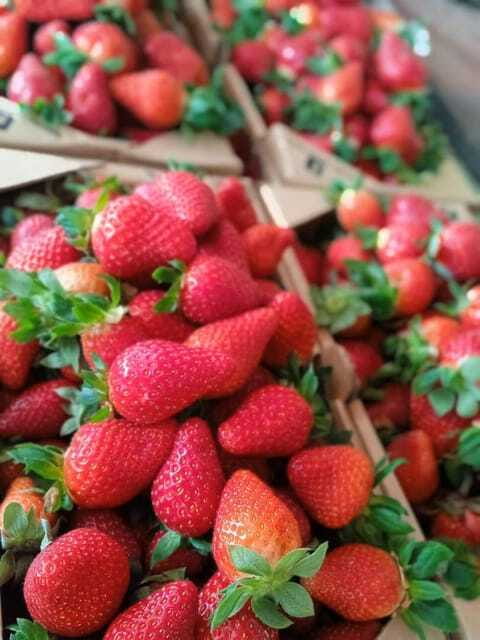 From Kuala Lumpur: Cameron Highlands Private or Join In Tour - Should you book this Cameron Highlands tour?