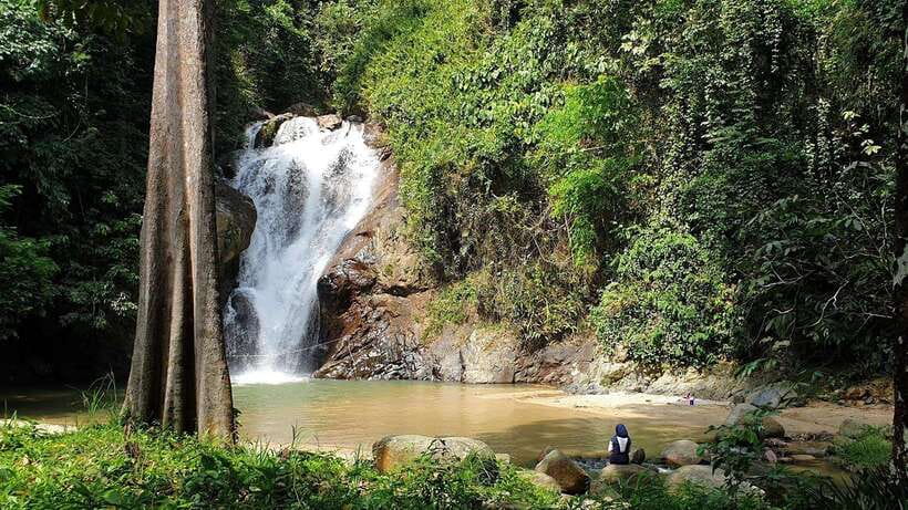 From Kuala Lumpur: Elephant Sanctuary Guided Tour - Key Highlights You’ll Care About