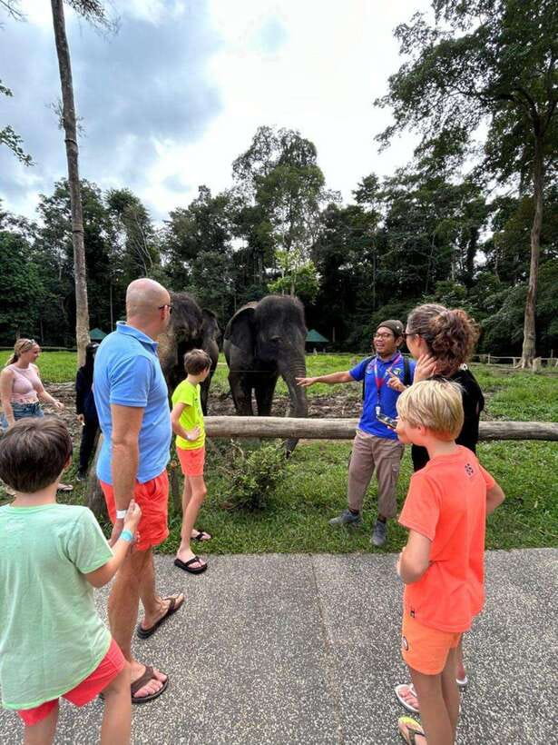 From Kuala Lumpur: Elephant Sanctuary Guided Tour - Entering Kuala Gandah Elephant Sanctuary (No Zoo Vibes)