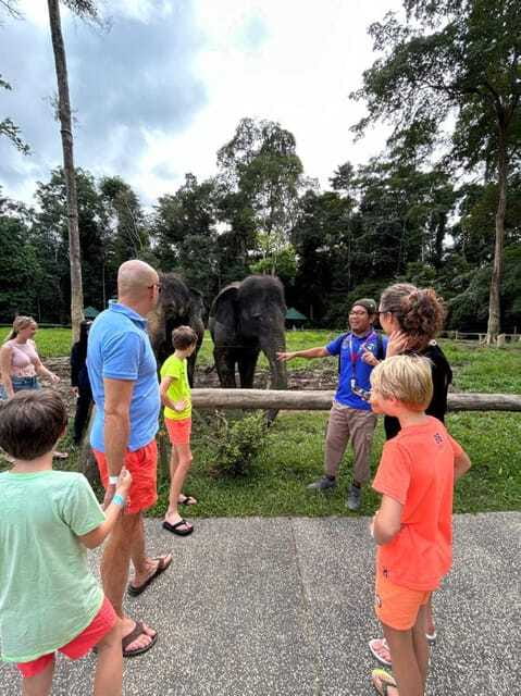 From Kuala Lumpur: Elephant Sanctuary Guided Tour - Your Guide Makes or Breaks the Day