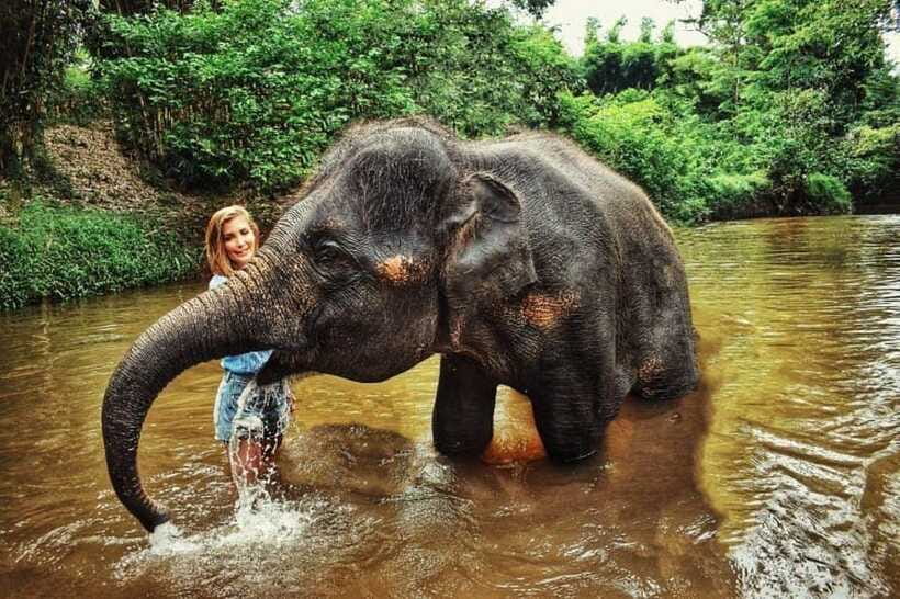 From Kuala Lumpur: Elephant Sanctuary Guided Tour - Small-Group Size: Why It Feels Better