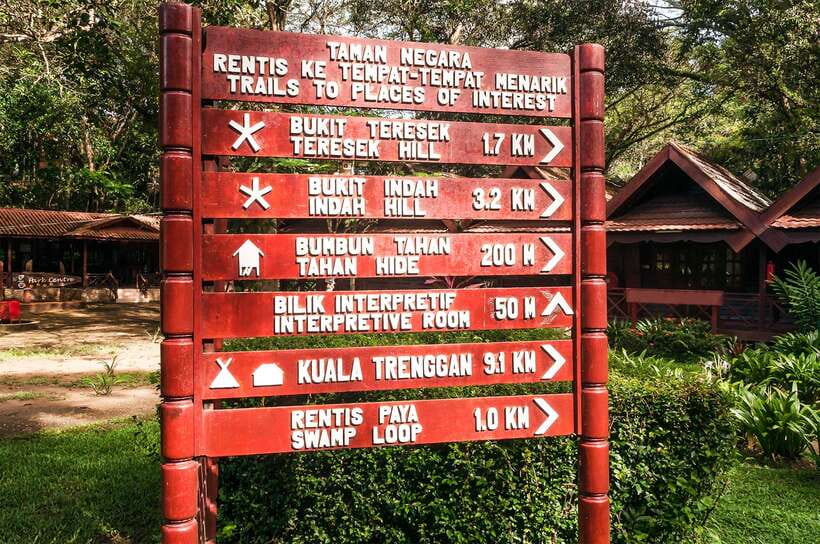 From Kuala Lumpur: Full-Day Taman Negara National Park - Key things that make this tour worth your time