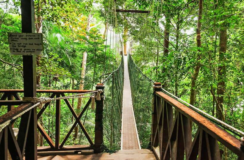 From Kuala Lumpur: Full-Day Taman Negara National Park - 6 a.m. start from Kuala Lumpur, then 3 hours of country views