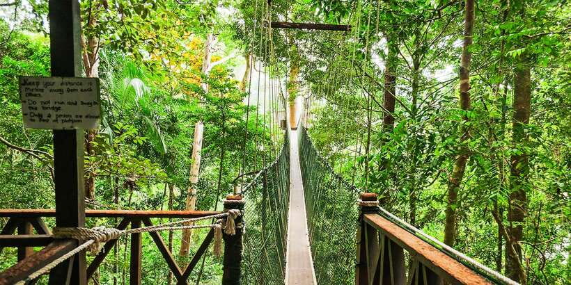 From Kuala Lumpur: Full-Day Taman Negara National Park - Jungle activities that mix fun with real skills