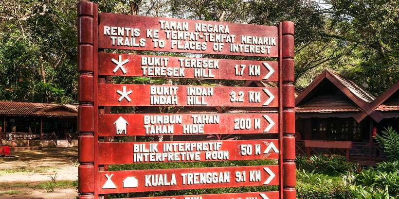 From Kuala Lumpur: Full-Day Taman Negara National Park - What to bring (and what to wear) so you do not ruin your day