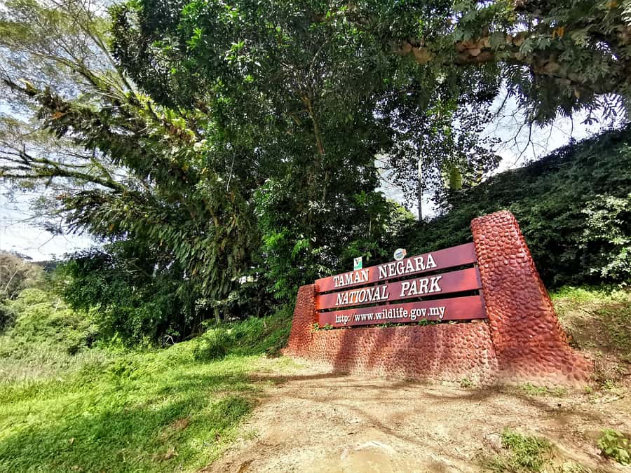 From Kuala Lumpur: Full Day Tour to Taman Negara - Key things that make this Taman Negara day trip tick