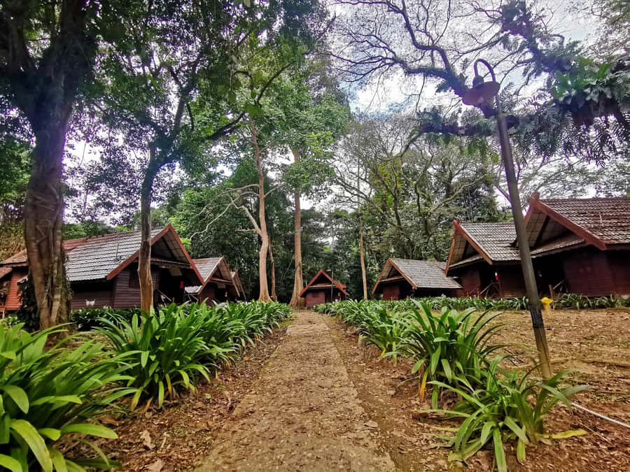 From Kuala Lumpur: Full Day Tour to Taman Negara - From Kuala Lumpur to Taman Negara: an all-day adventure with real travel time