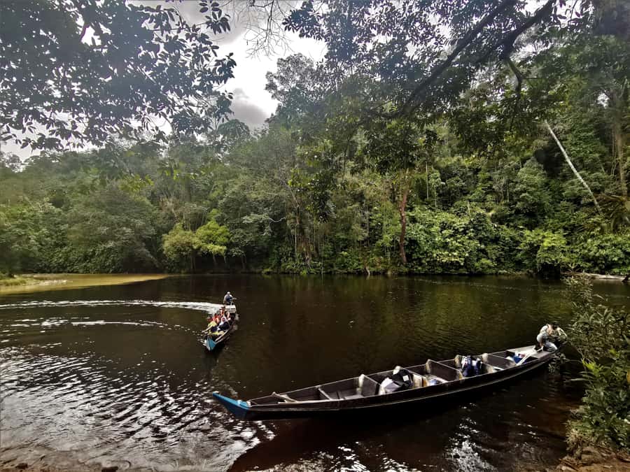 From Kuala Lumpur: Full Day Tour to Taman Negara - Getting your adrenaline up on the Tembeling River rapid shoot