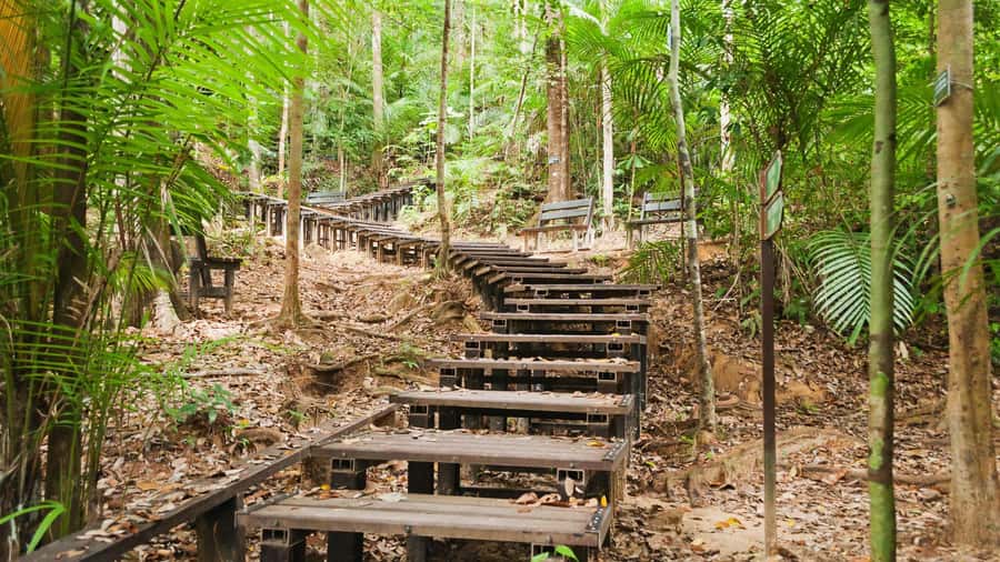 From Kuala Lumpur: Full Day Tour to Taman Negara - Batek (Orang Asli) village visit: seeing survival skills in action