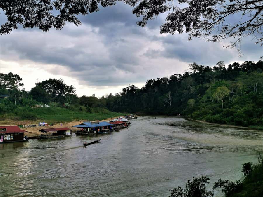 From Kuala Lumpur: Full Day Tour to Taman Negara - Should you book this Taman Negara day tour?
