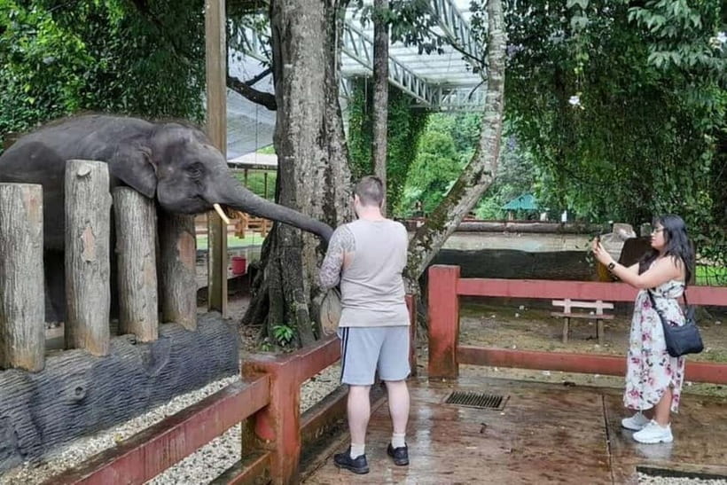 From Kuala Lumpur: Kuala Gandah & Batu Caves Day Trip - Batu Caves First, With Time to See the Limestone and Shrines