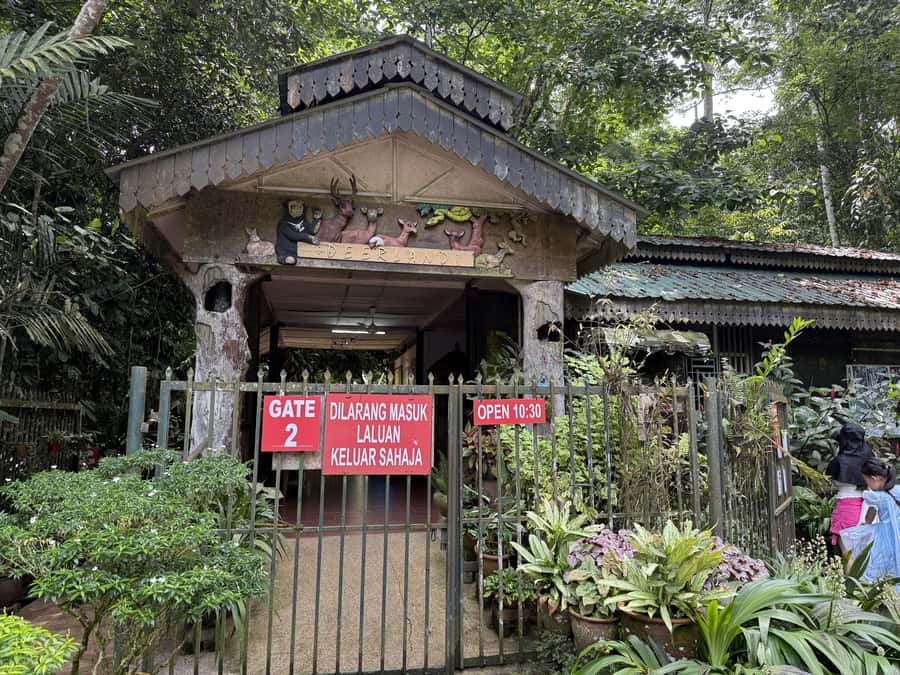 From Kuala Lumpur: Kuala Gandah Elephant Sanctuary Day Trip - Elephant Bathing, Feeding, and Why On-Site Choices Matter
