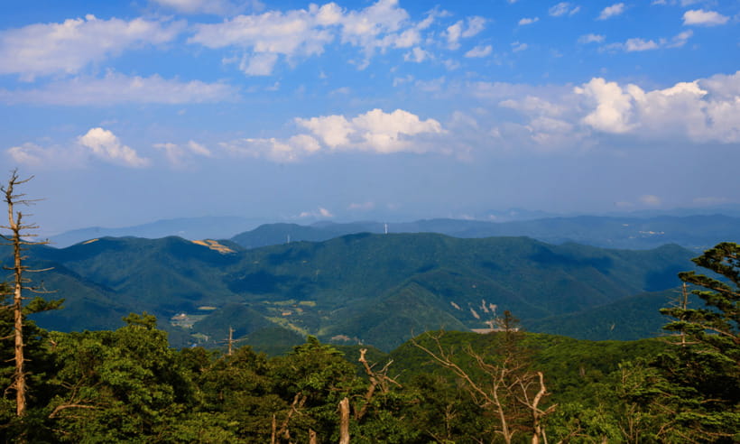 From Kuala Lumpur: Taman Negara National Park Private Tour - Should you book this Kuala Lumpur to Taman Negara private tour?