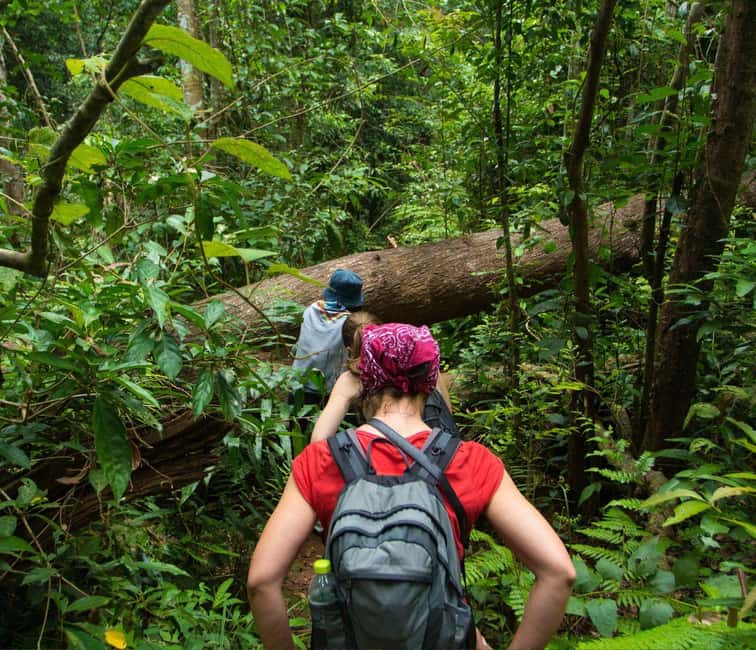 From Kuala Lumpur: Taman Negara National Park Private Tour - The Kuala Lumpur to Taman Negara drive, and why it matters