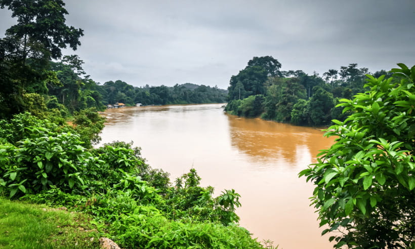 From Kuala Lumpur: Taman Negara National Park Private Tour - Giant Tualang Tree: why this landmark is more than a photo stop