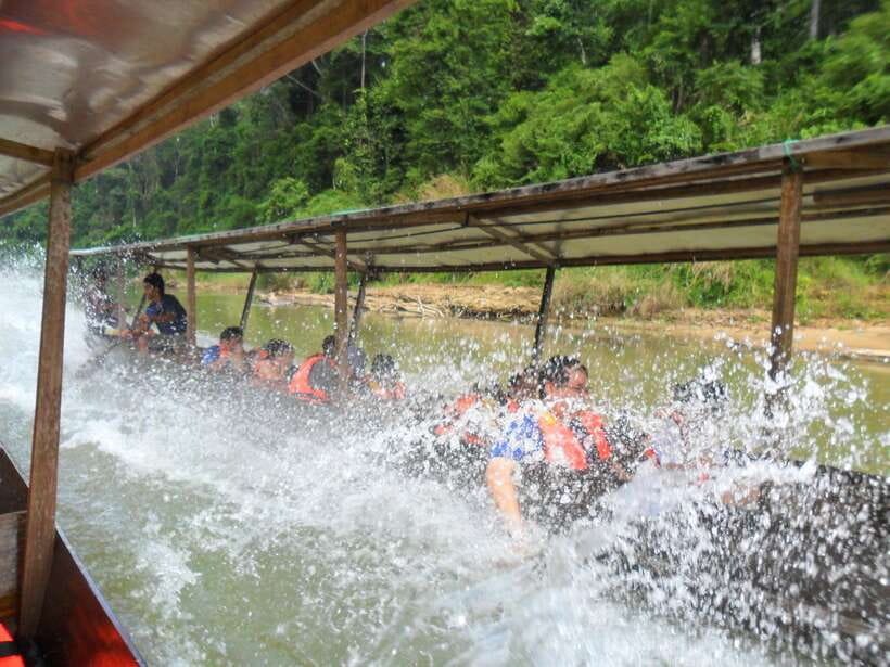 From Kuala Lumpur: Taman Negara National Park Trek Day Tour - A 15-hour jungle escape from Kuala Lumpur