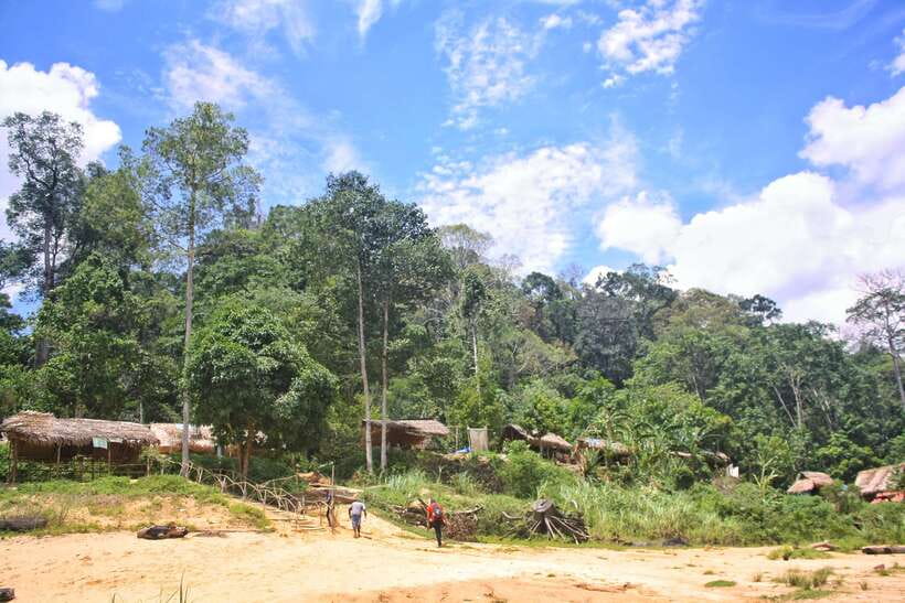 From Kuala Lumpur: Taman Negara National Park Trek Day Tour - Price and value: is $177 a fair deal for a full day?