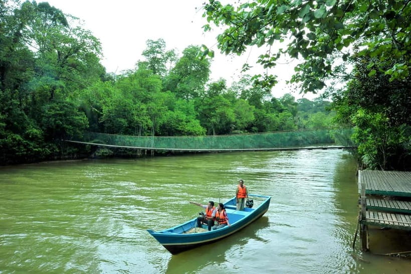 From Kuala Lumpur: Taman Negara Private Tour - Why a Taman Negara day trip from Kuala Lumpur can work