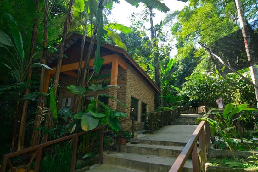 From Kuala Lumpur: Taman Negara Private Tour - Walking the Canopy Walkway: what to expect and how to enjoy it