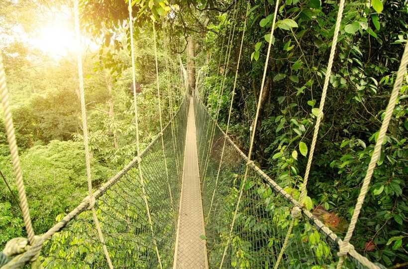 From Kuala Lumpur: Taman Negara Private Tour - Orang Asli village visit: understanding daily life and survival skills