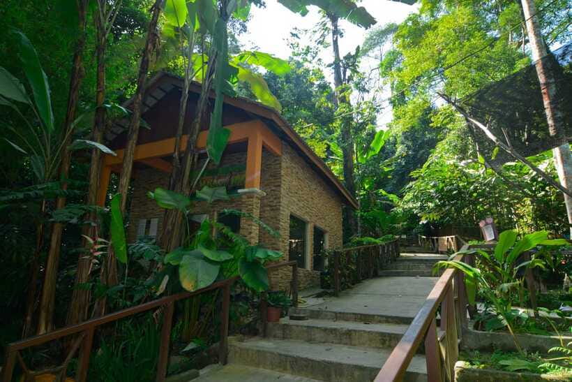 From Kuala Lumpur: Taman Negara Private Tour - Jungle trekking time: enjoy the walk, manage the conditions