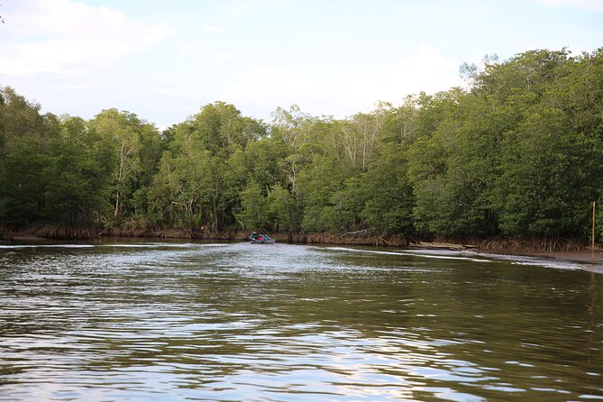 Full Day Bongawan River Cruise with Proboscis Monkey Sightseeing - Getting Back to Kota Kinabalu: The End of the Day