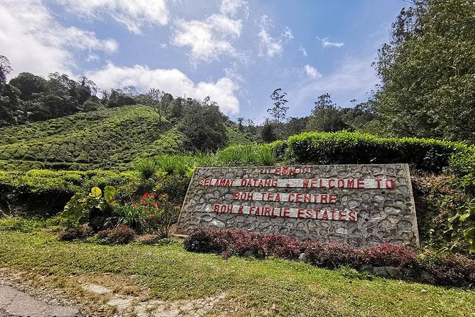 Full-day Cameron Highlands Day Trip from Kuala Lumpur - Big Red Strawberry Farm and the Brinchang viewpoint vibe