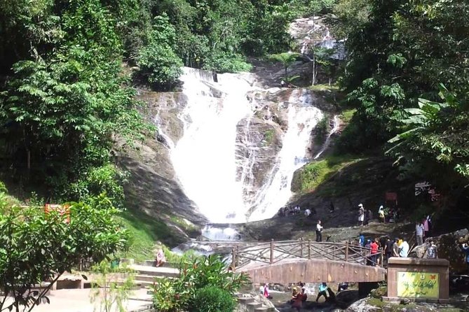 Full-day Cameron Highlands Day Trip from Kuala Lumpur - Cactus Valley: the stop you may want to skim