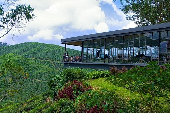 Full Day Cameron Highlands Nature Tour - Leaving Kuala Lumpur: The Big Rise to Cameron Highlands