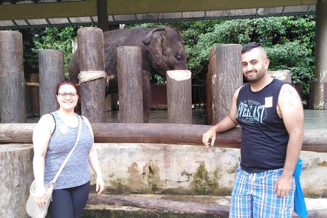 Full Day Elephant Sanctuary Tour with a Free Batu Caves Visit - Kuala Gandah Elephant Sanctuary: Rehabilitation With a Relocation Mission