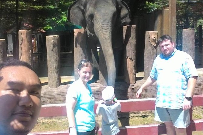 Full Day Elephant Sanctuary Tour with a Free Batu Caves Visit - Family-Friendly, But Not One-Size-Fits-All
