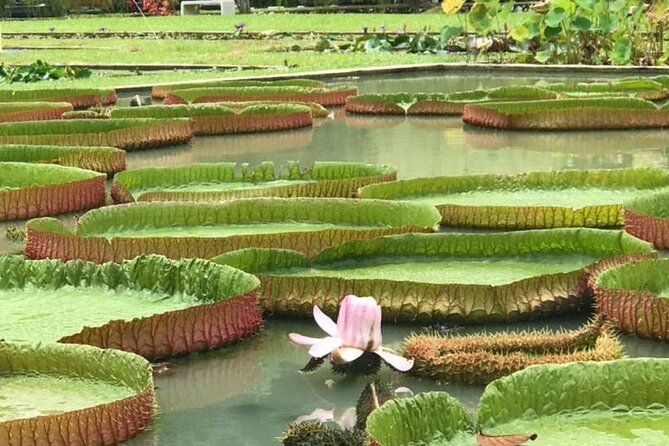 Full Day Flexi Private Tour in Penang Island with Pickup - Crowd control and cruise-day timing, the guides make or break it