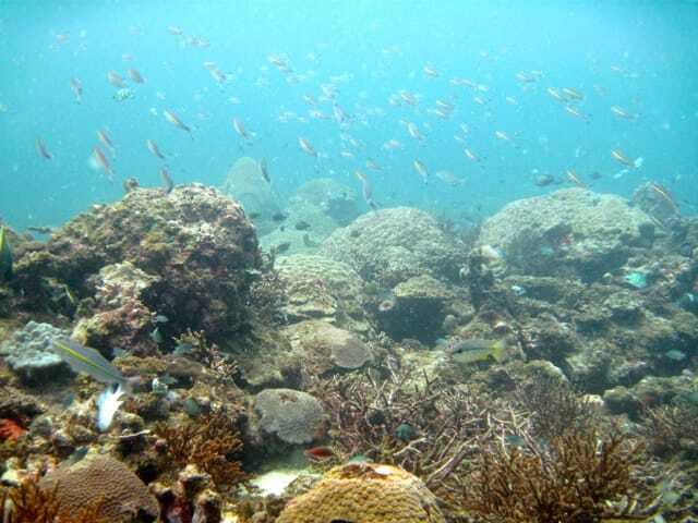 Full-Day Guided Snorkeling Tour from Kota Kinabalu - Equipment and the small stuff that affects your comfort