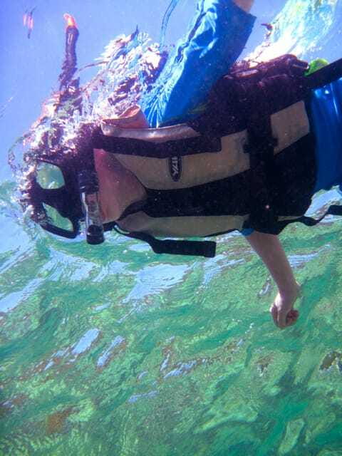 Full-Day Guided Snorkeling Tour from Kota Kinabalu - Catamaran sailing: the comfortable part of the day