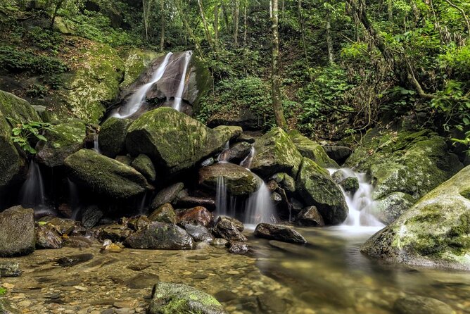 Full-Day Kinabalu Park and Poring Hot Spring Day Trip - Key things to know before you go