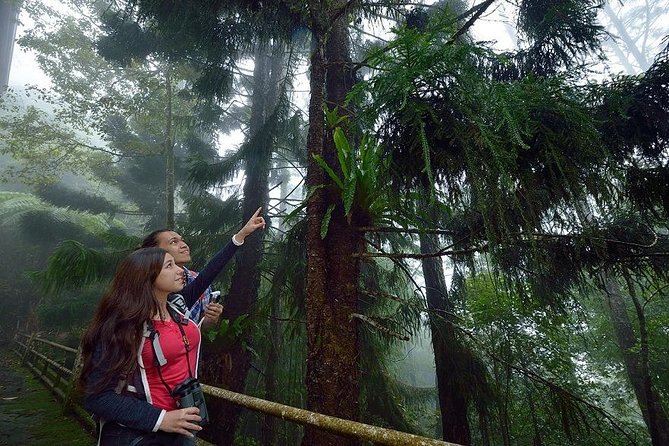Full-Day Kinabalu Park and Poring Hot Spring Day Trip - How this day trip fits together, and why it works