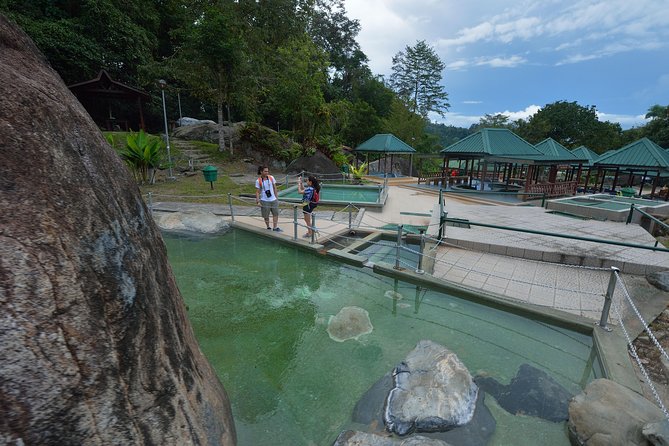 Full-Day Kinabalu Park and Poring Hot Spring Day Trip - The guide experience: plant and wildlife explanations that make stops click