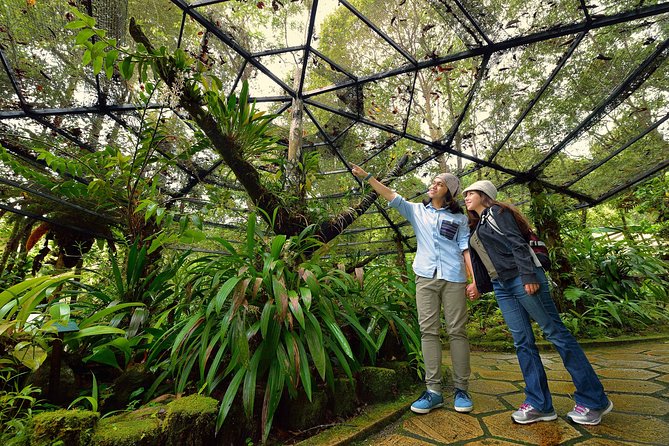 Full-Day Kinabalu Park and Poring Hot Spring Day Trip - Kinabalu Park: guided trek inside a UNESCO World Heritage Site