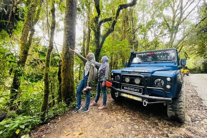 Full Day Mossy Forest Experience - Key Highlights Worth Marking On Your Map