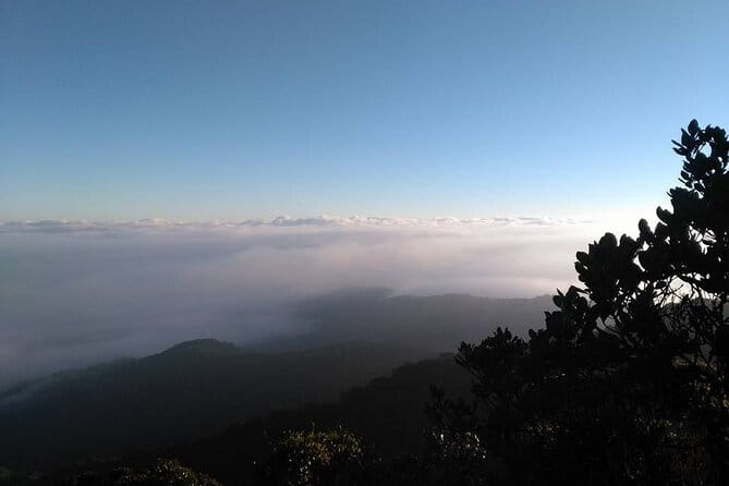 Full Day Mossy Forest Experience - The Morning Ride: Gunung Brinchang and a Land Rover-Style Approach