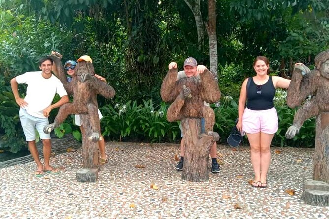Full Day Orang Utan Sepilok, Proboscis Monkey, Sunbear, RDC - Key Highlights You Should Know Before You Go