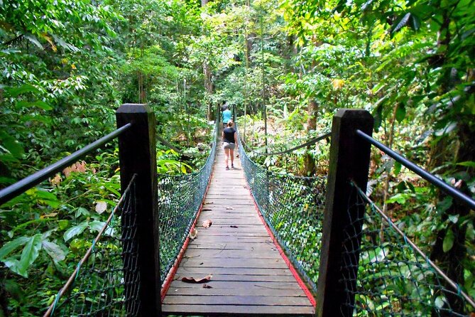 Full Day Orang Utan Sepilok, Proboscis Monkey, Sunbear, RDC - Start Smart with 8:00 Pickup: Town Hotel or Sandakan Airport