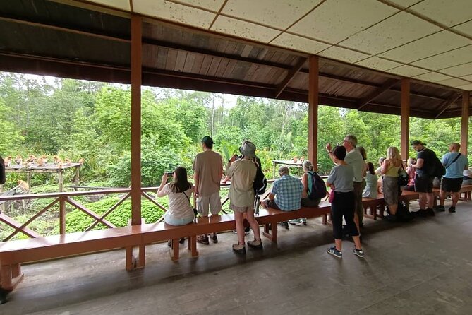 Full-Day Sepilok Orangutan and Proboscis Monkey from Sandakan or Kota Kinabalu - What to Bring, What to Expect, and Photo Reality Checks