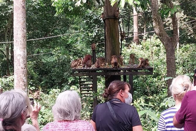Full-Day Sepilok Orangutan and Sandakan City Trail from Kota Kinabalu - How the full-day schedule actually feels (10 hours, early pickup, and one smooth route)