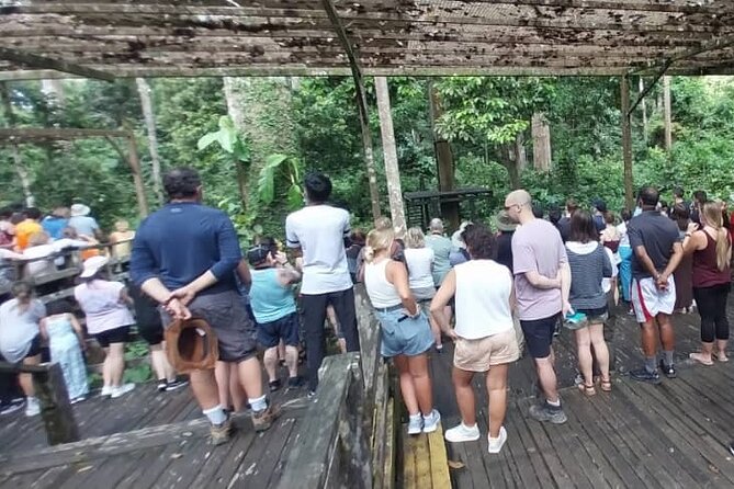 Full-Day Sepilok Orangutan and Sandakan City Trail from Kota Kinabalu - Who this tour is best for (and who might feel mismatched)