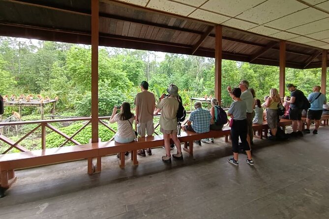 Full-Day Sepilok Orangutan and Sandakan City Trail from Kota Kinabalu - The rainforest nature trail: your chance to slow down and look closer