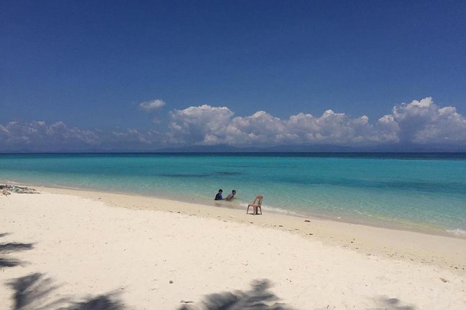 Full Day Tour in Mantanani - Marine Life Around Wrecks and Reefs: What You Might Actually See